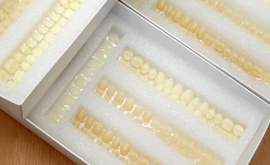 Sada 84 keramických koruniek Denticor